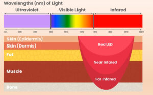 Diagram showing the penetration of red, near-infrared, and far-infrared light within the body